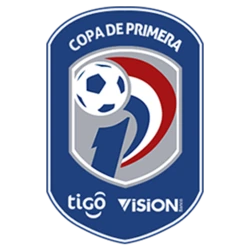 Logo División Profesional